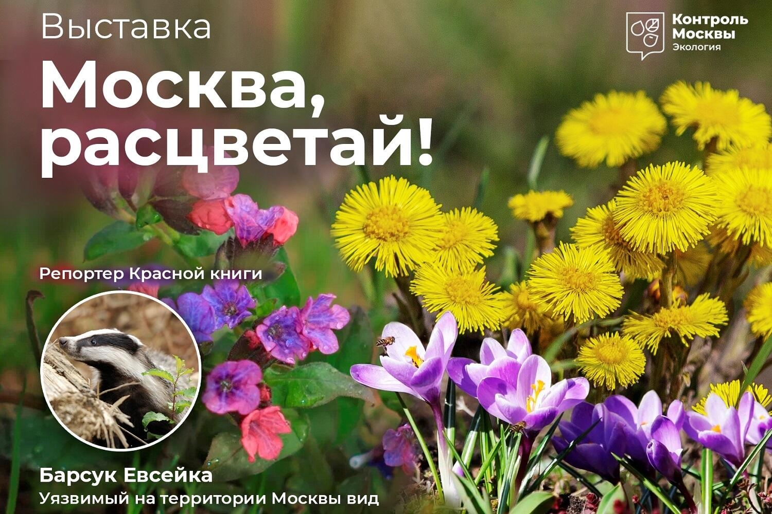 Эколого-просветительский фестиваль «Москва, расцветай!»