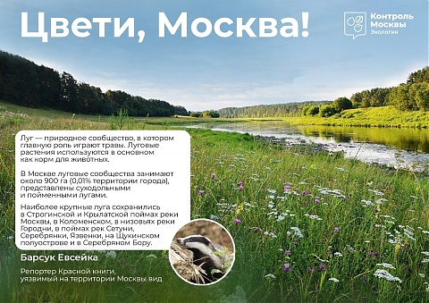В столице начинается фестиваль «Цвети, Москва!»