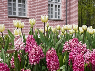 Детские программы на МАРТ