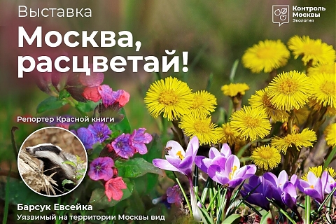 Эколого-просветительский фестиваль «Москва, расцветай!»