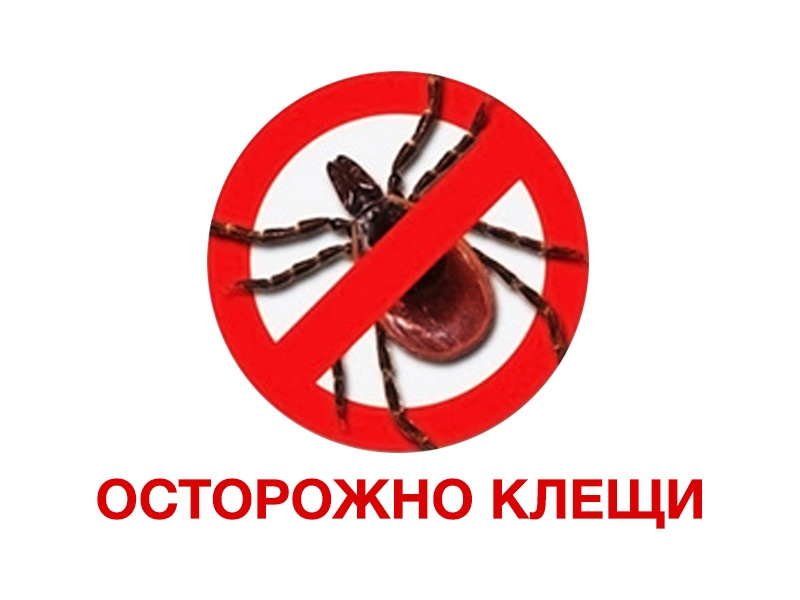 Остерегайтесь клещей!