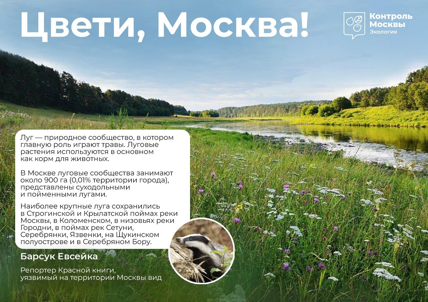 В столице начинается фестиваль «Цвети, Москва!»