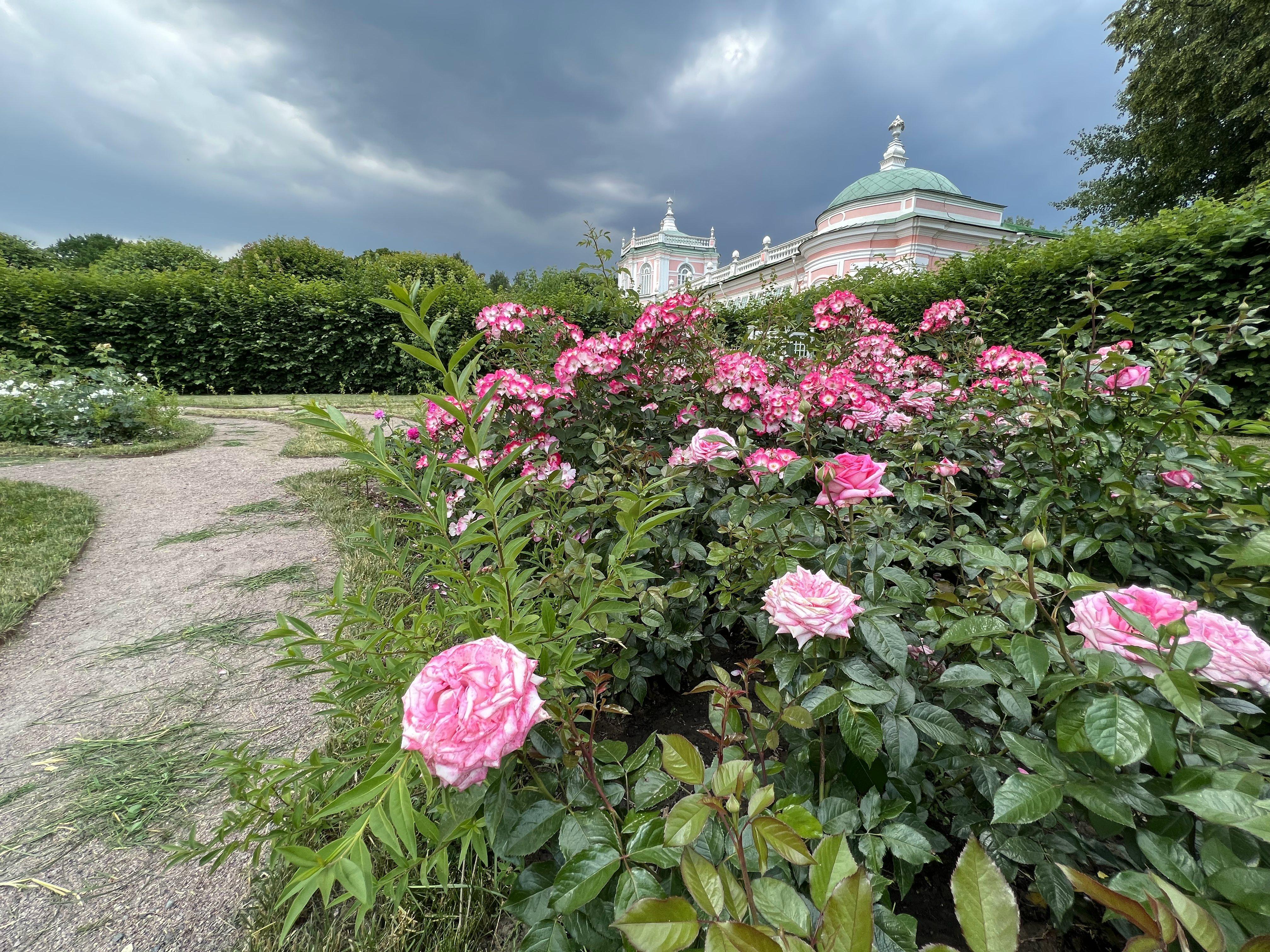 Цветы и танцы в честь «графских именин»